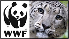 WWF Russia. 